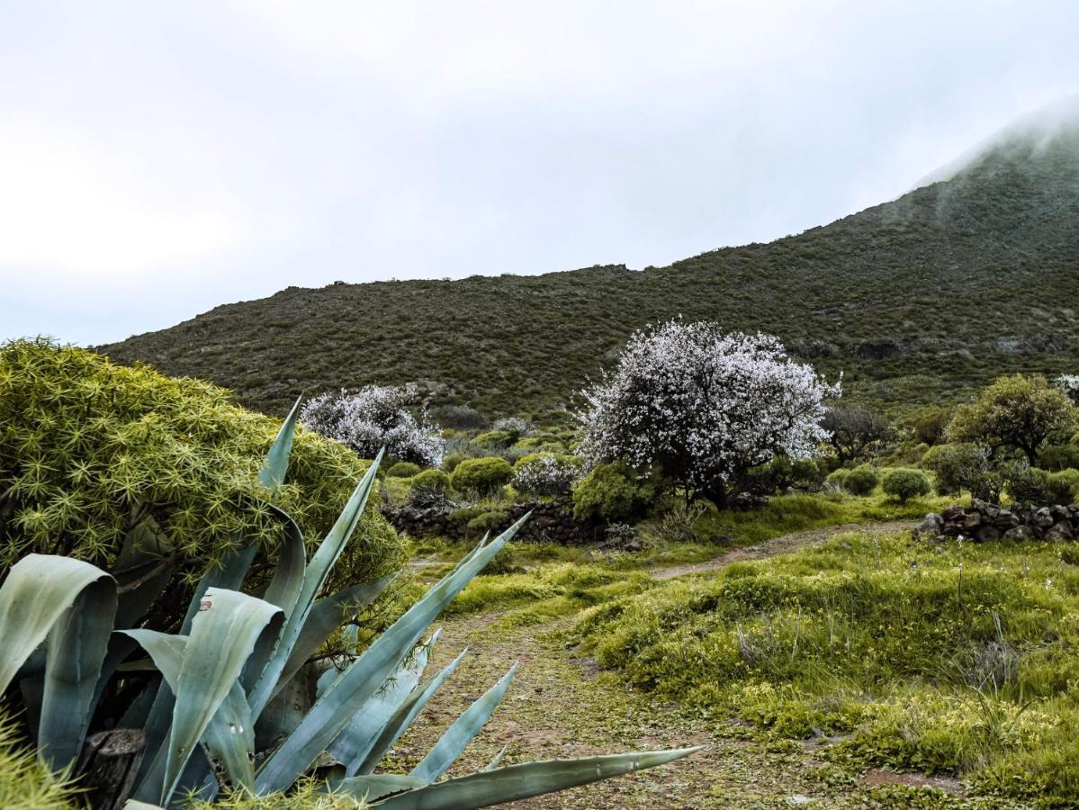 Luxury Villa In Nature With Swimming Pool Tenerife, Santiago Del Teide, With Sea And Mountain Views El Retamar Exteriör bild