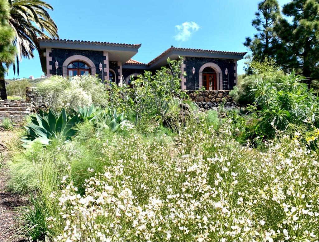 Luxury Villa In Nature With Swimming Pool Tenerife, Santiago Del Teide, With Sea And Mountain Views El Retamar Exteriör bild